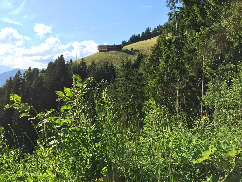 Wellnessappartements Margit Alpbach Kültér fotó